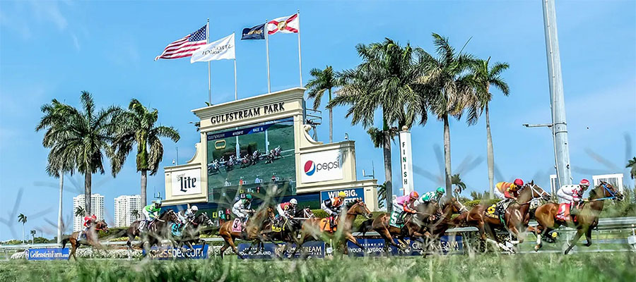 Gulfstream Park Horse Racing Odds & Picks for Friday, June 26
