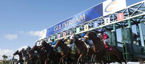 Gulfstream Park Horse Racing Odds & Picks for Wednesday, June 24
