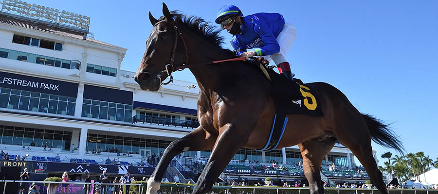 2021 Kentucky Derby: New Contender & Prospect Showing Up