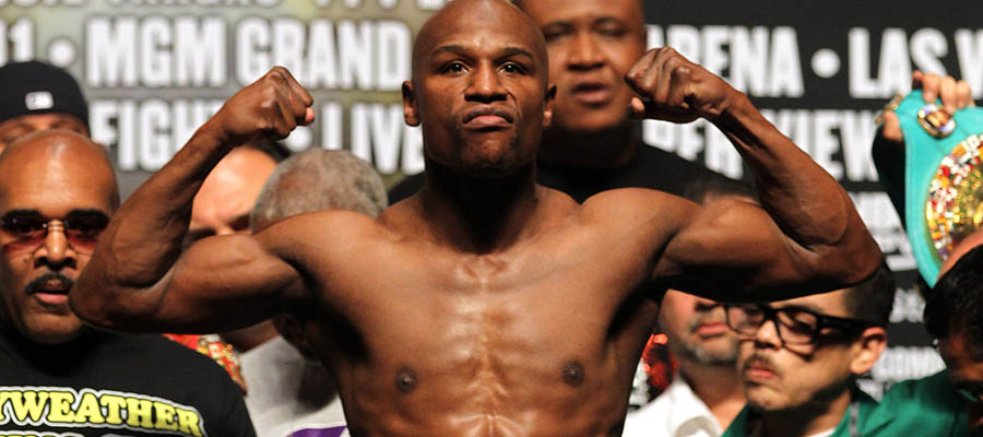 Boxing Lines: Floyd Mayweather Vs Logan Paul Update