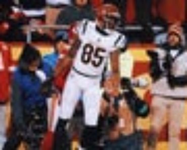 Bengals GM on Tee Higgins trade speculation: ‘Go find your own’ receiver